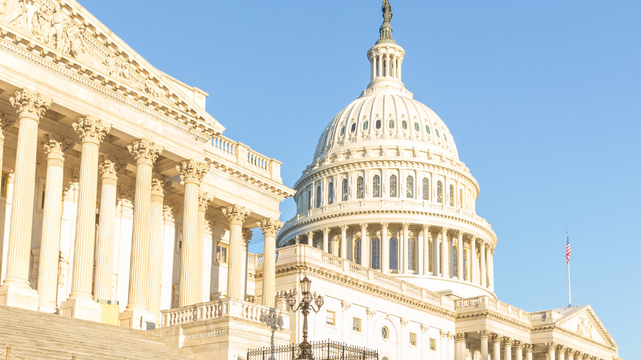 The Capitol in Washington, DC.