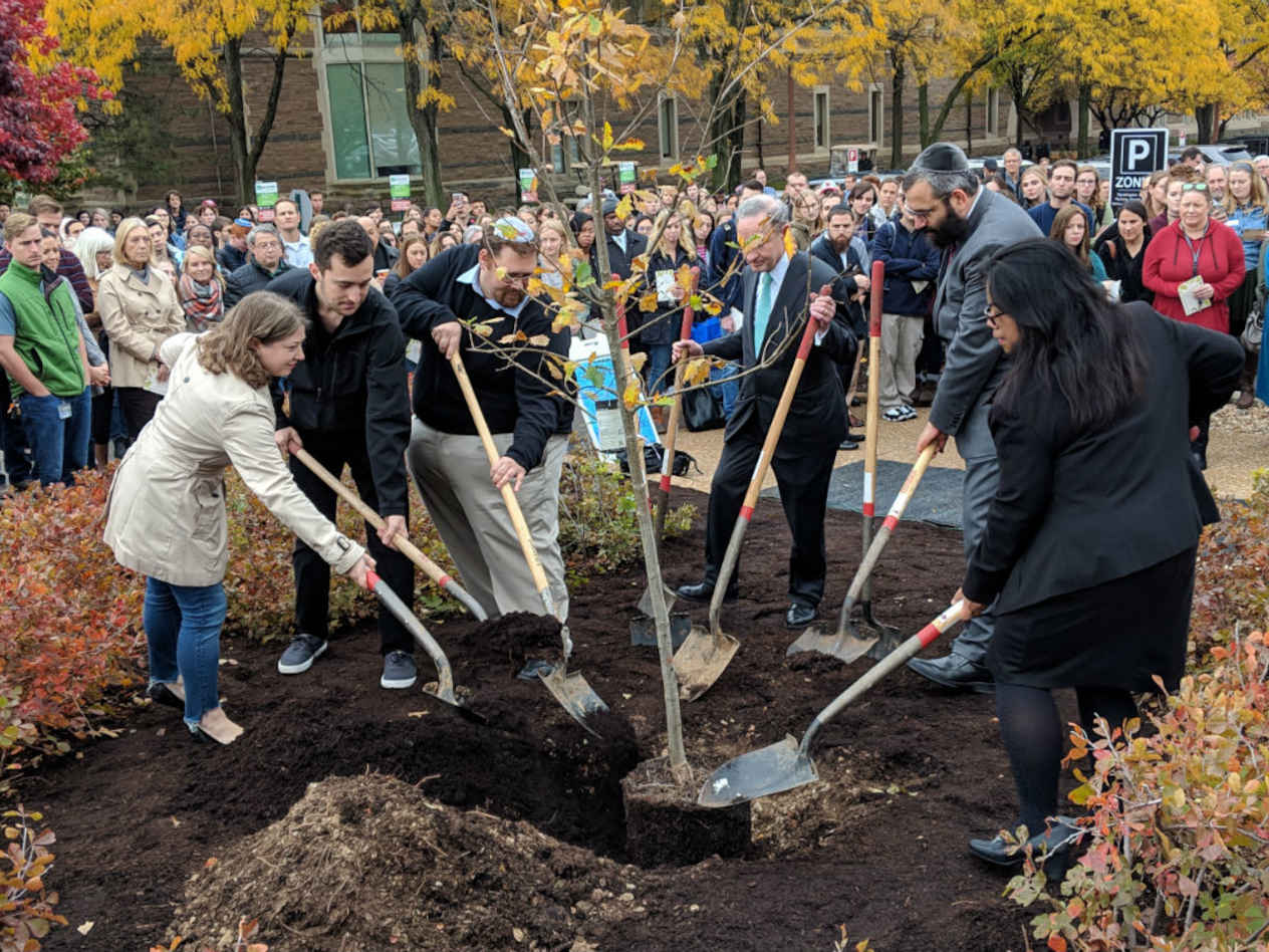 Tree planting in Pittsburgh, PA