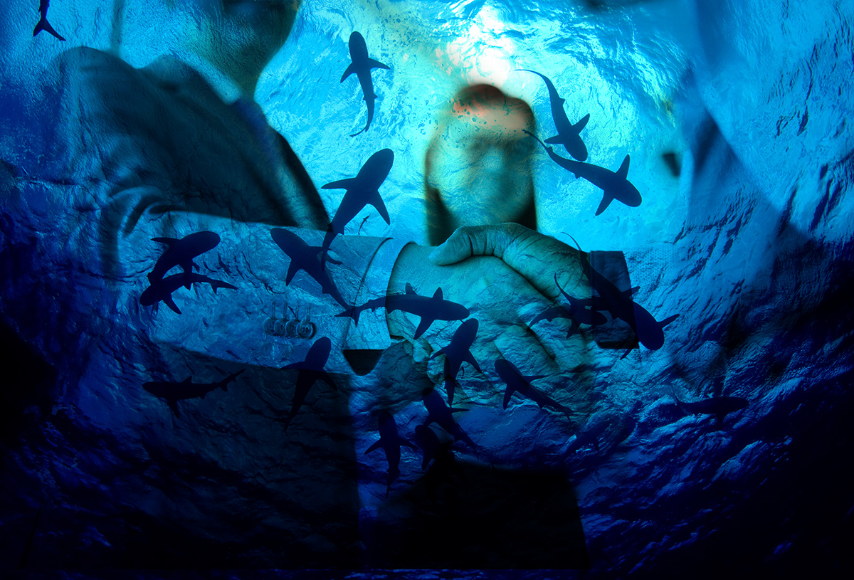 Shark Tank - Stock photo