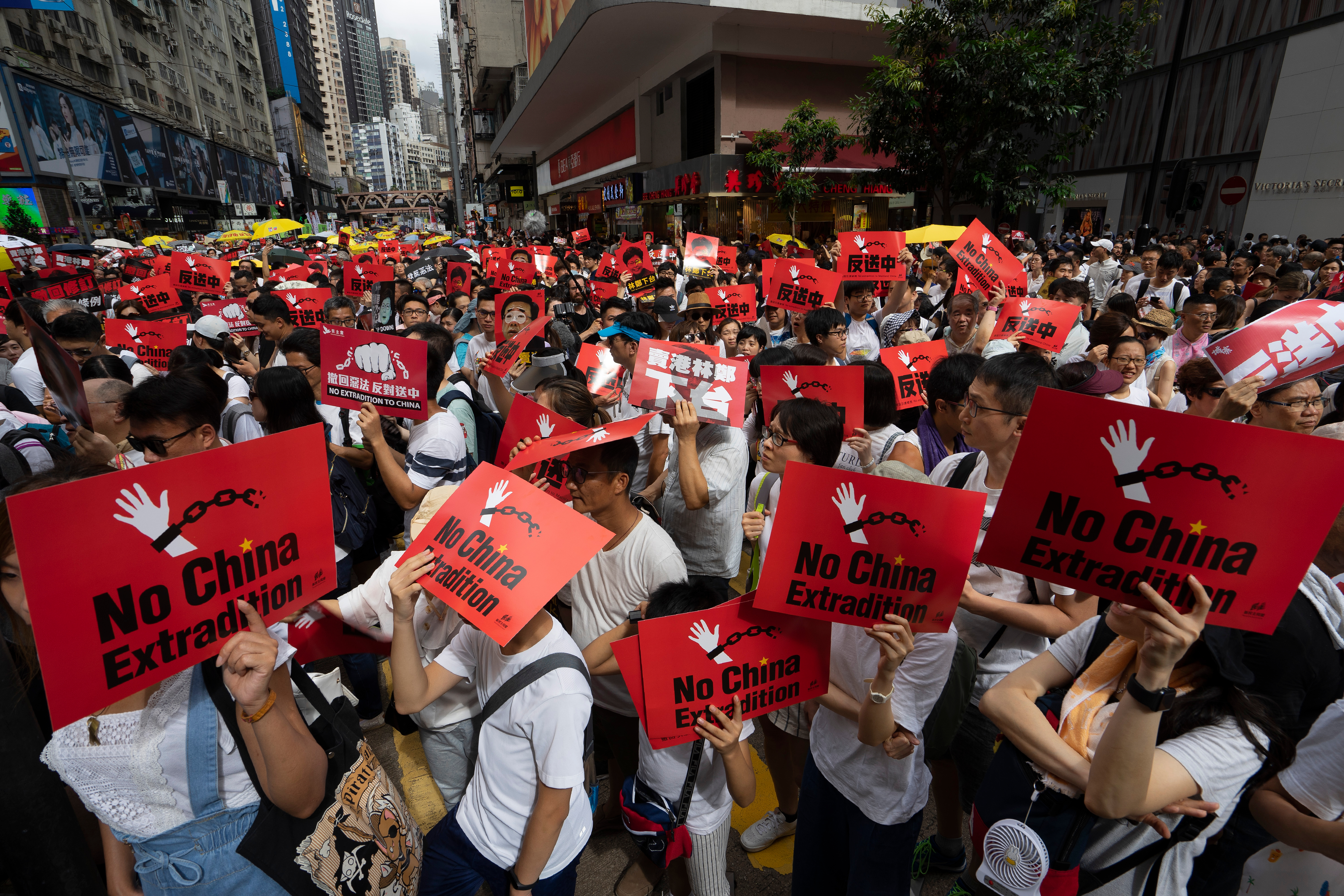 Protestors in Hong Kong
