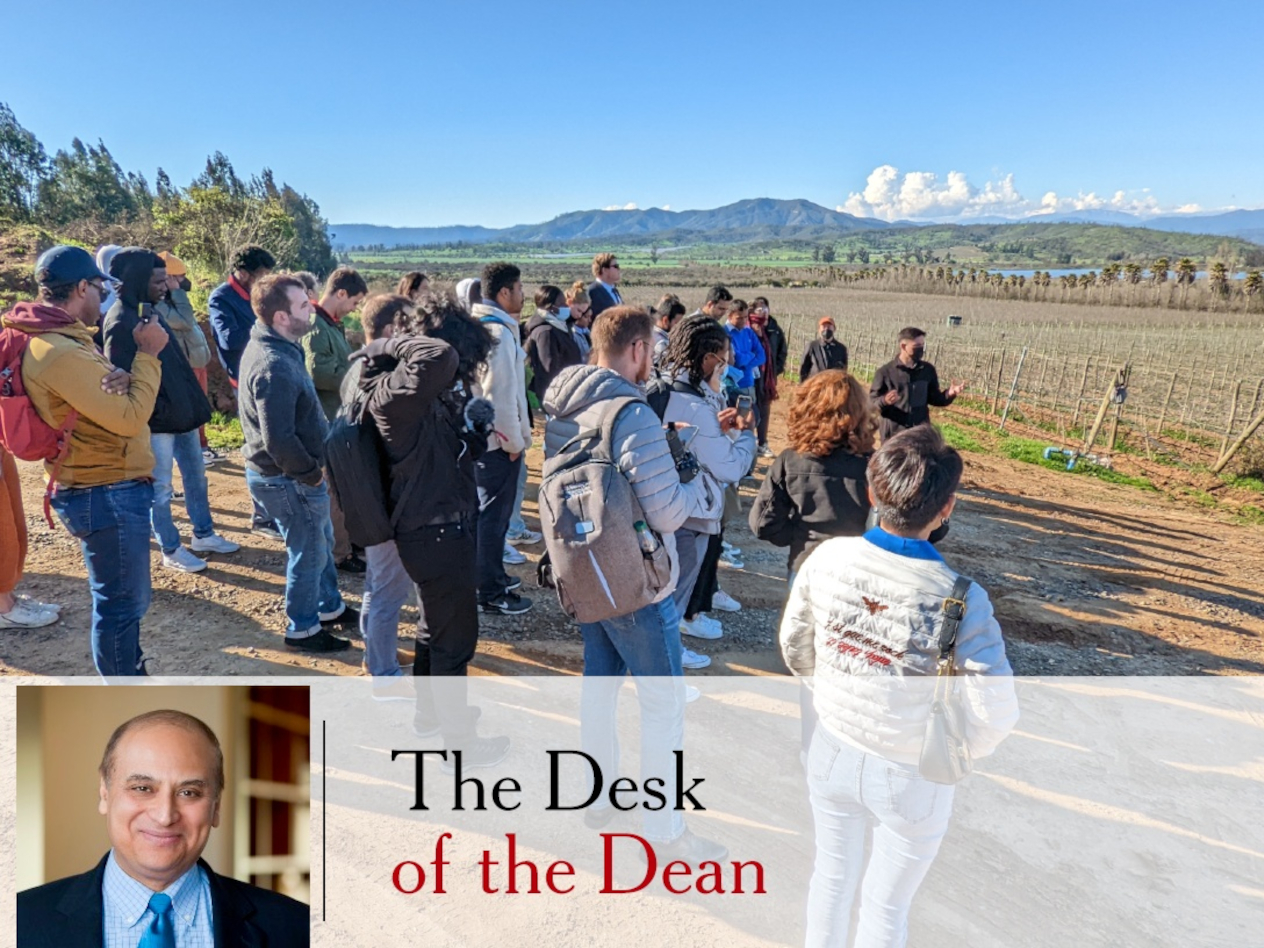 Desk of the Dean - Kingston Vineyard