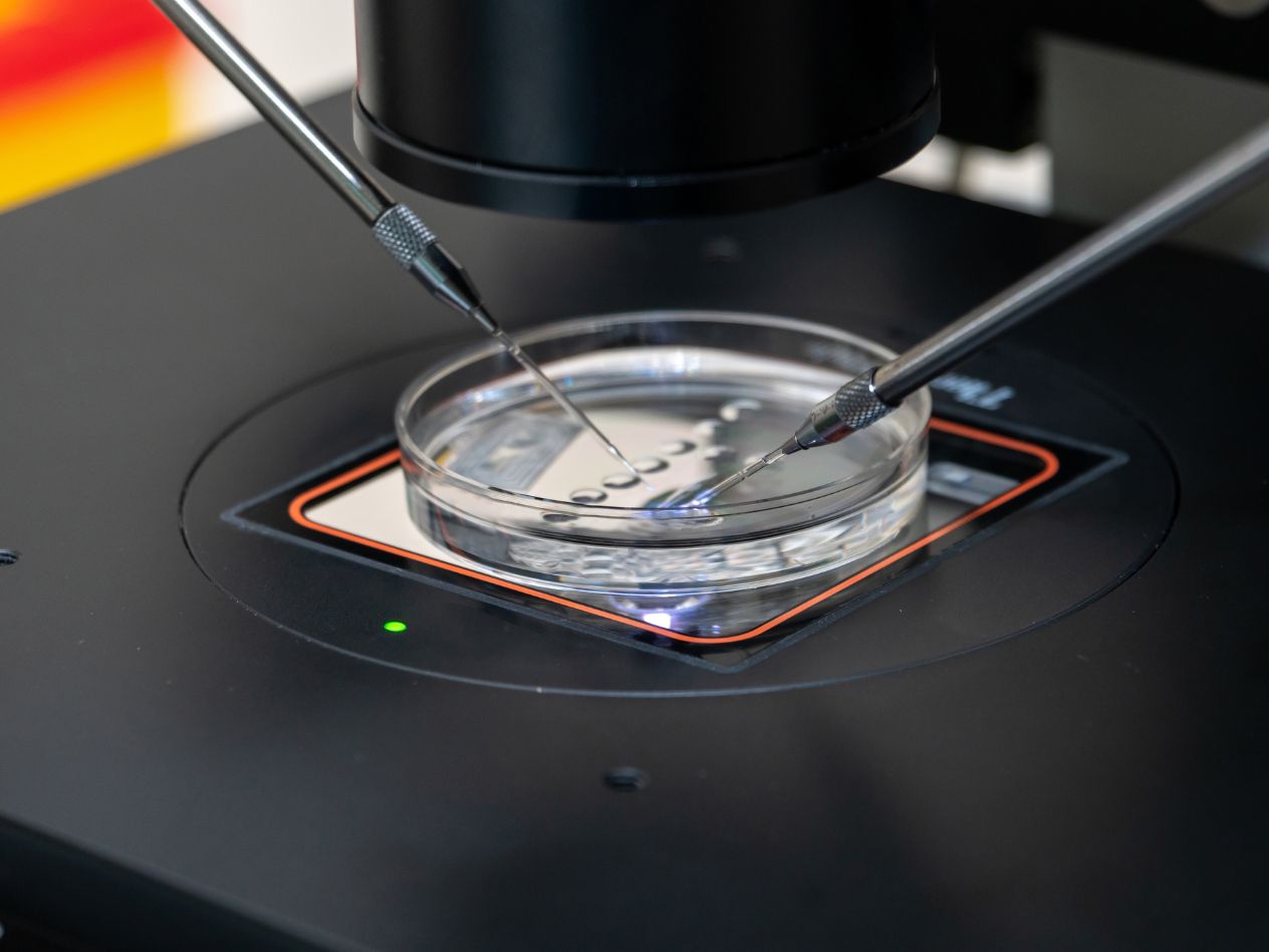 IVF technology