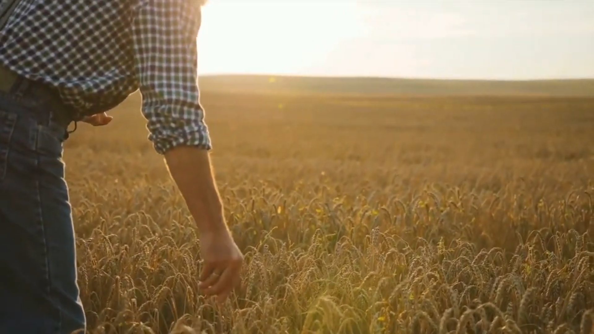Machine learning in agriculture photo