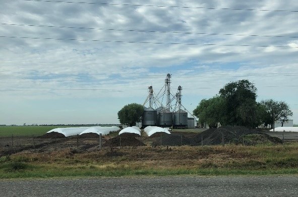 Rosario