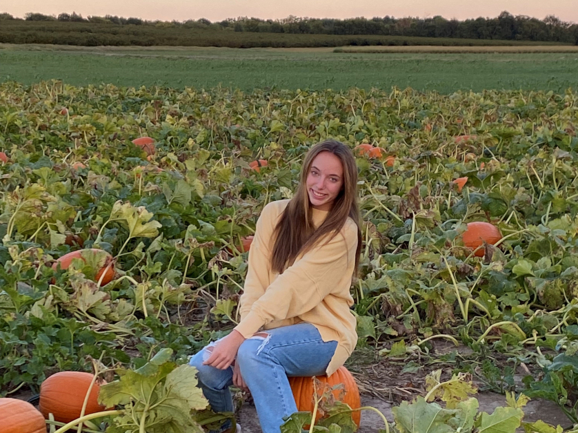 Pumpkins are one of the pick-your-own fall harvests at Eckert’s Farms.